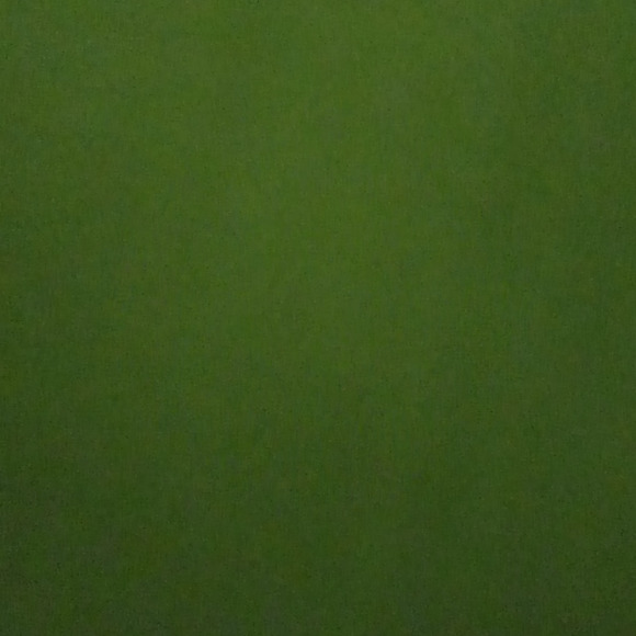 denise_43